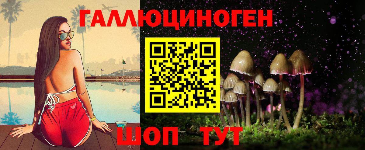 Псилоцибиновые грибы GOLDEN TEACHER  сколько стоит  Новосибирск  Вход с VPN 